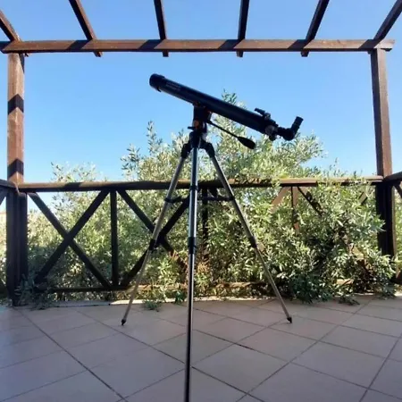 Alexis New 克里斯阿穆迪亚