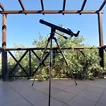 Alexis New 克里斯阿穆迪亚
